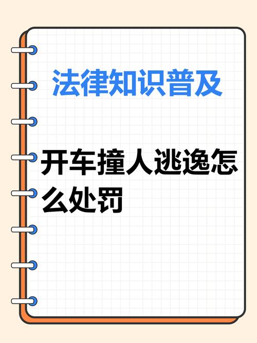 新闻中心 第389页