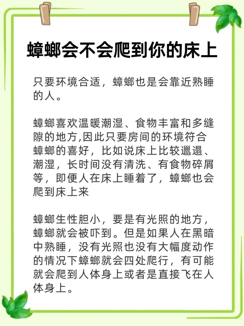 2025最新免费资料大全和未拆封餐具蟑螂乱爬与未拆封餐具蟑螂乱爬怎么办