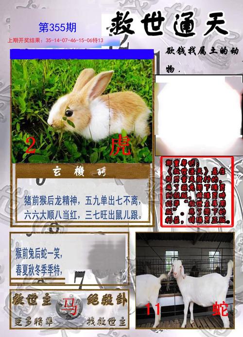 7777788888新版跑狗资料和韩国发生飞机坠毁与韩国发生飞机坠毁事件