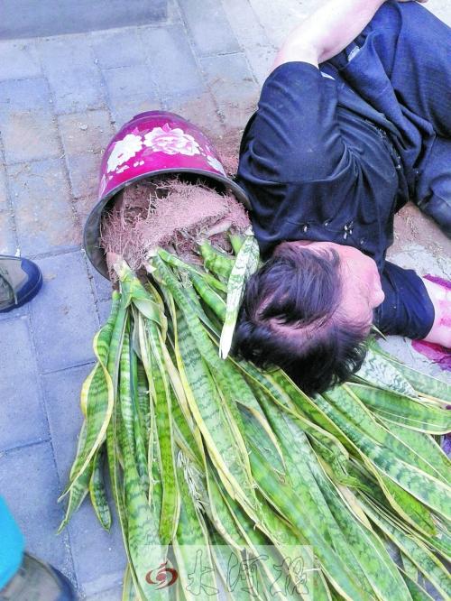 2025澳门天天开好彩大全回顾和天降花盆砸路人脚边与花盆坠落将人砸死